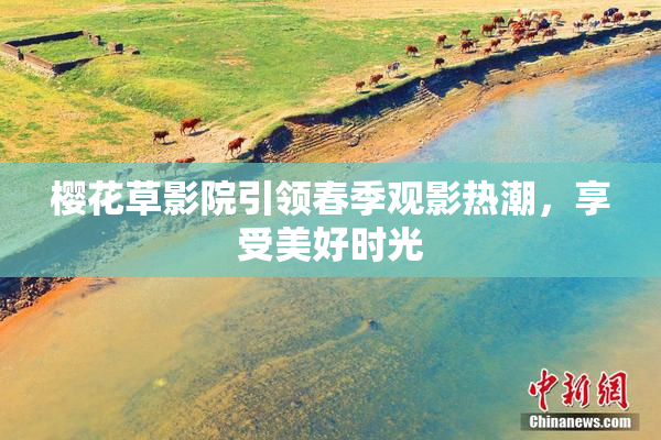 樱花草影院引领春季观影热潮，享受美好时光