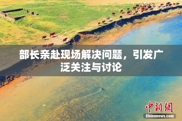 部长亲赴现场解决问题，引发广泛关注与讨论