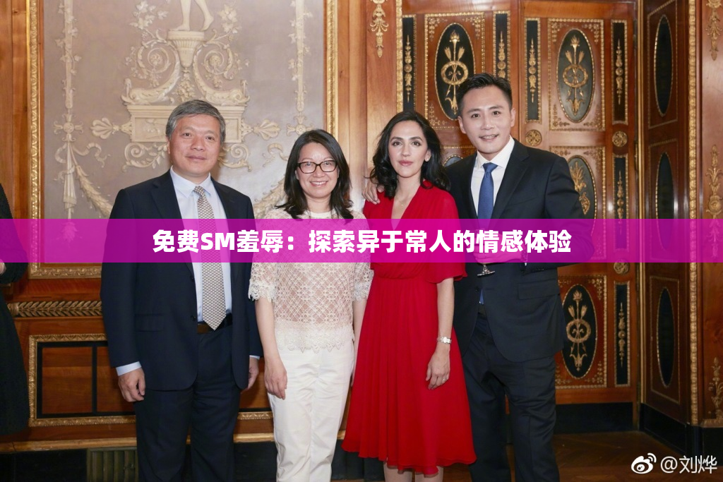 免费SM羞辱：探索异于常人的情感体验