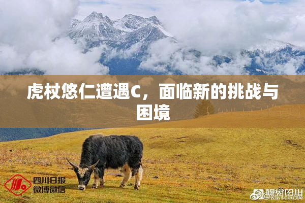 虎杖悠仁遭遇C，面临新的挑战与困境