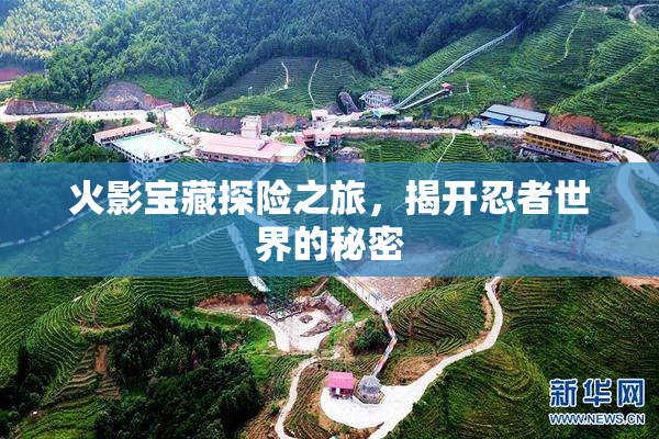 火影宝藏探险之旅，揭开忍者世界的秘密