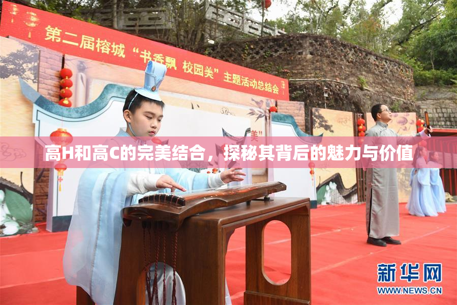 高H和高C的完美结合，探秘其背后的魅力与价值
