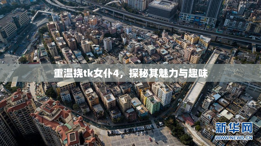 重温挠tk女仆4，探秘其魅力与趣味