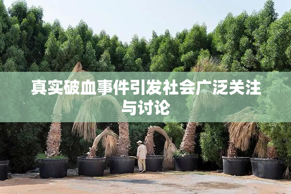 真实破血事件引发社会广泛关注与讨论