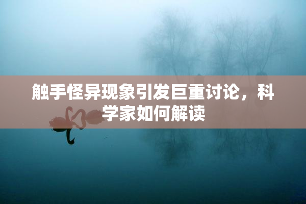 触手怪异现象引发巨重讨论，科学家如何解读
