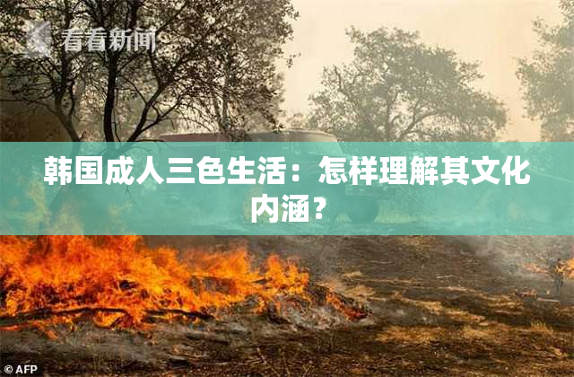 韩国成人三色生活：怎样理解其文化内涵？