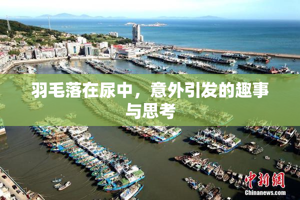 羽毛落在尿中，意外引发的趣事与思考