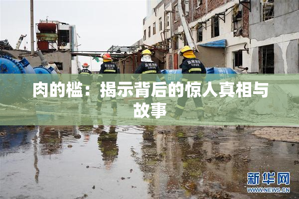 肉的槛：揭示背后的惊人真相与故事