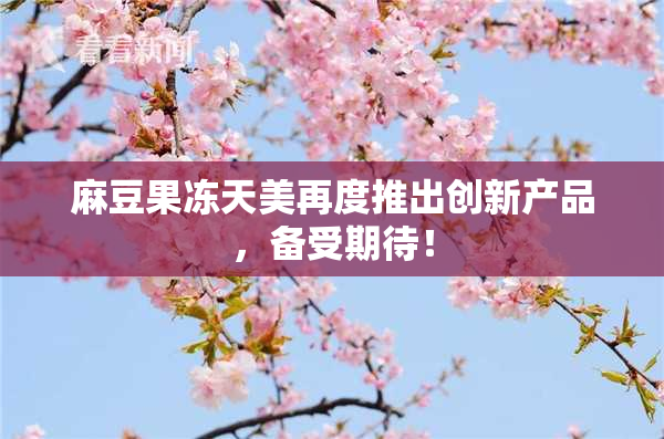 麻豆果冻天美再度推出创新产品，备受期待！
