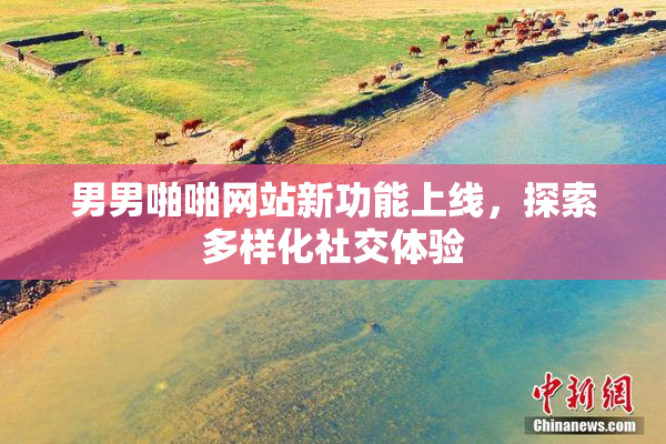 男男啪啪网站新功能上线，探索多样化社交体验