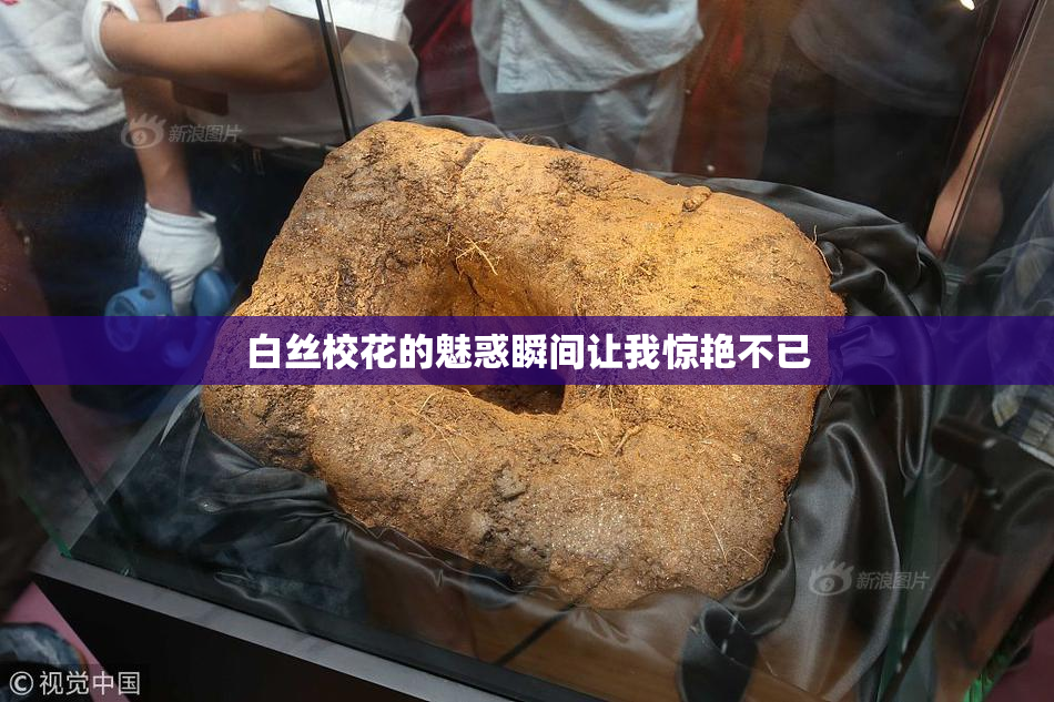 白丝校花的魅惑瞬间让我惊艳不已