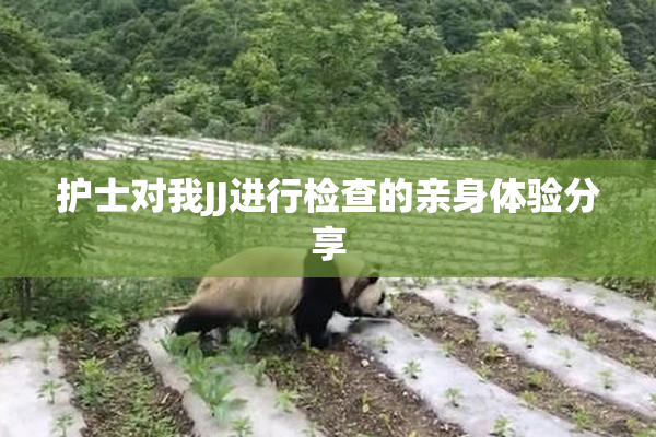 护士对我JJ进行检查的亲身体验分享