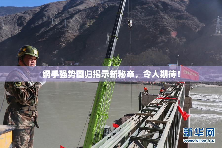 纲手强势回归揭示新秘辛，令人期待！