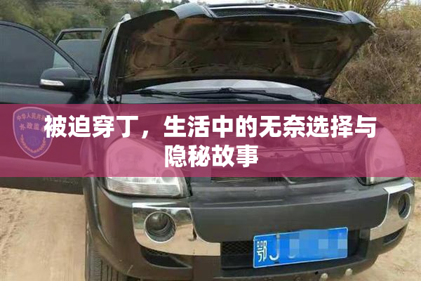 被迫穿丁，生活中的无奈选择与隐秘故事