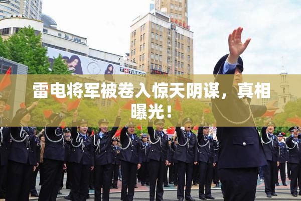 雷电将军被卷入惊天阴谋，真相曝光！