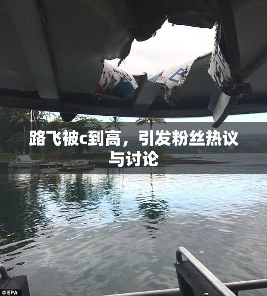 路飞被c到高，引发粉丝热议与讨论