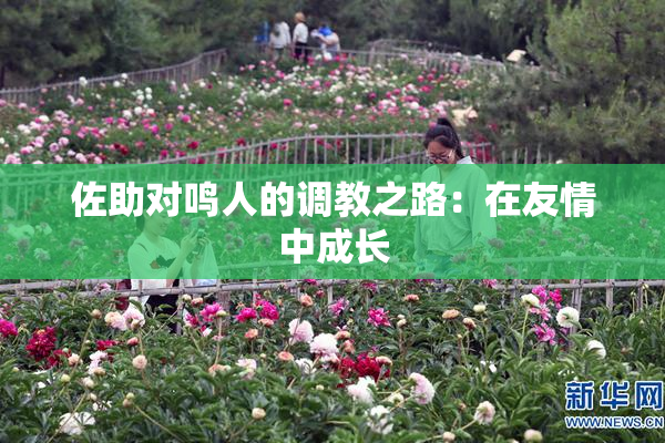 佐助对鸣人的调教之路：在友情中成长