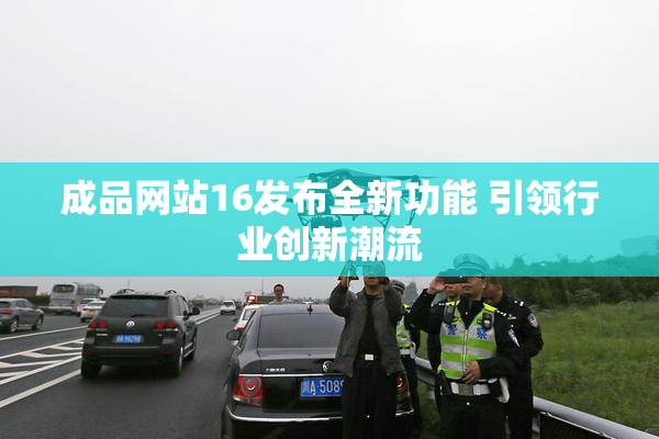 成品网站16发布全新功能 引领行业创新潮流