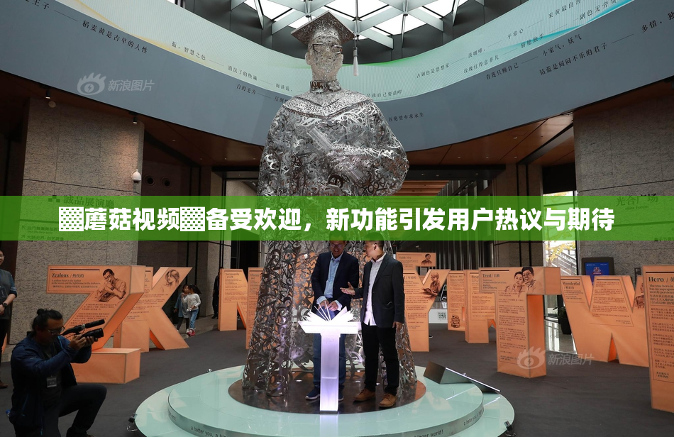 ▓蘑菇视频▓备受欢迎，新功能引发用户热议与期待
