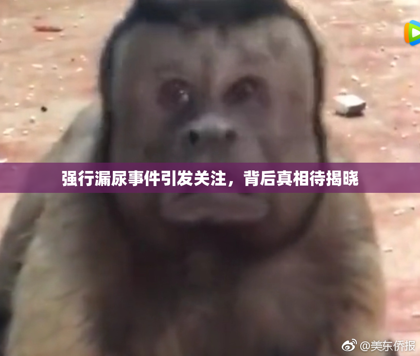 强行漏尿事件引发关注，背后真相待揭晓