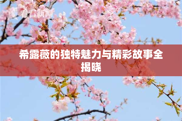 希露薇的独特魅力与精彩故事全揭晓