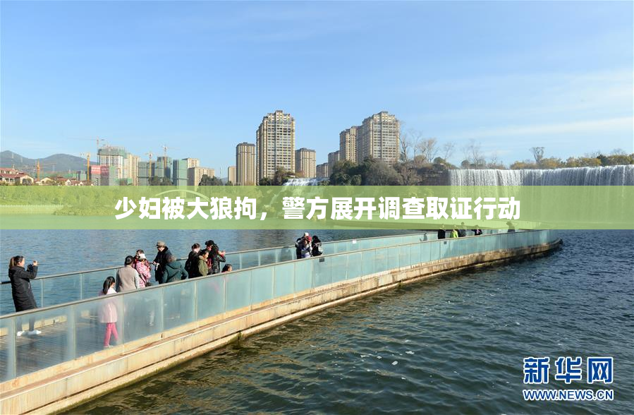 少妇被大狼拘，警方展开调查取证行动