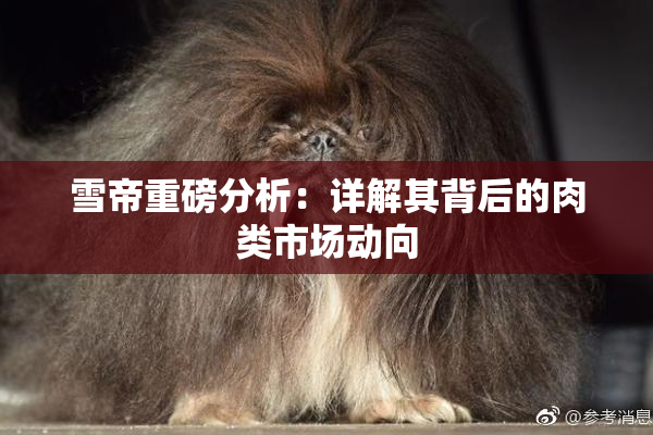 雪帝重磅分析：详解其背后的肉类市场动向