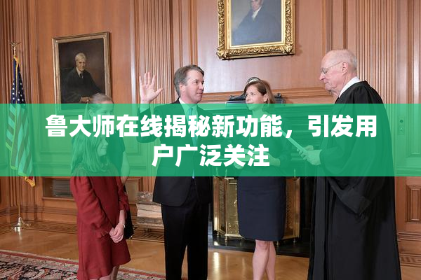鲁大师在线揭秘新功能，引发用户广泛关注