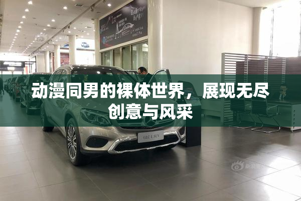 动漫同男的裸体世界，展现无尽创意与风采