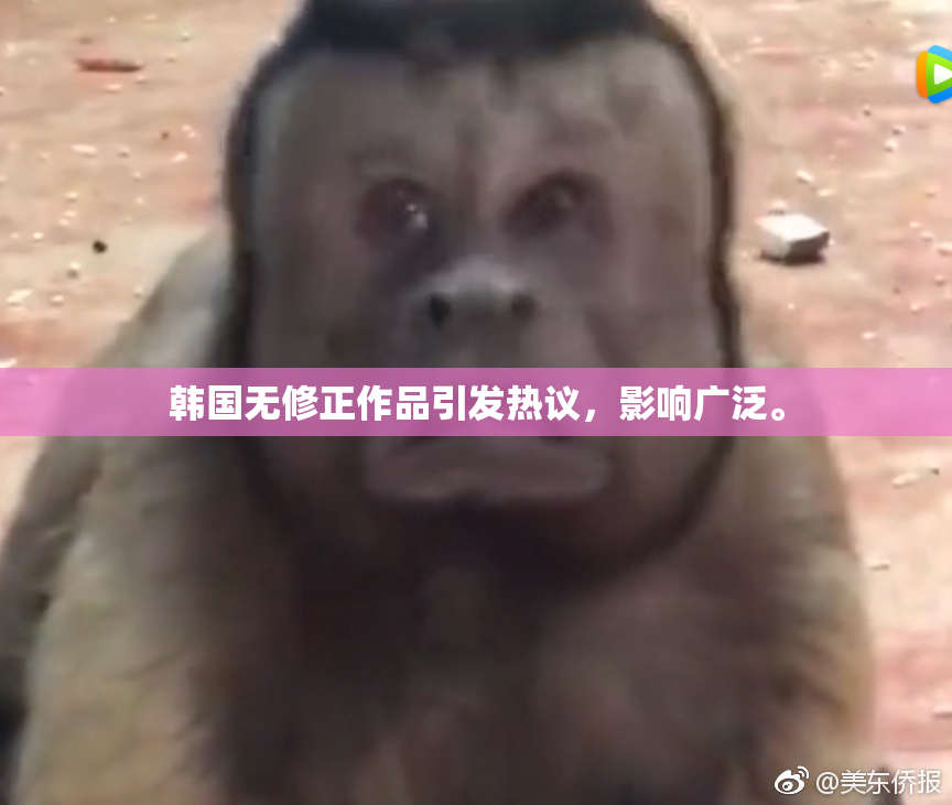 韩国无修正作品引发热议，影响广泛。