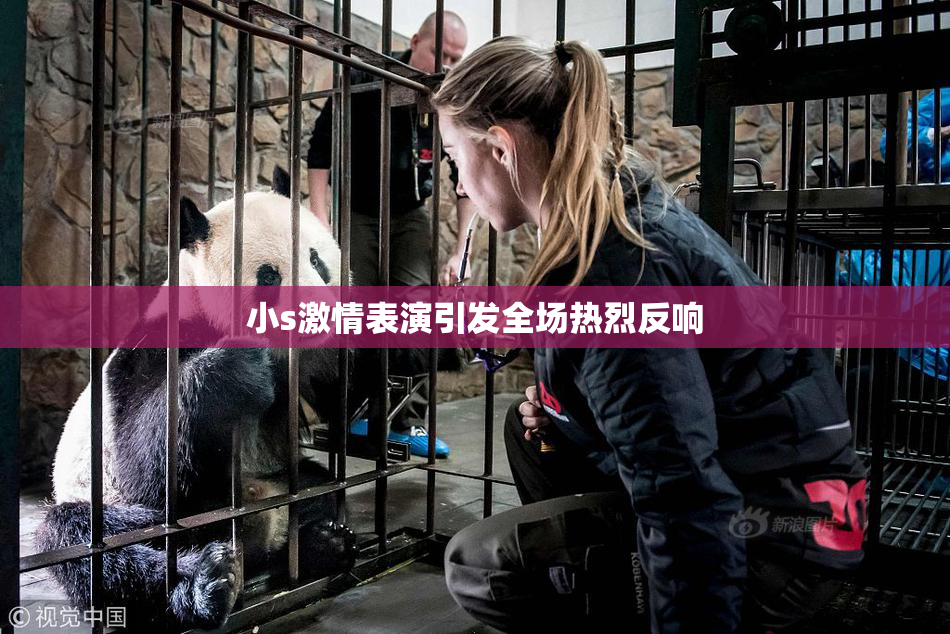 小s激情表演引发全场热烈反响