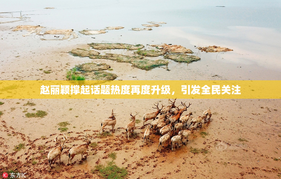 赵丽颖撑起话题热度再度升级，引发全民关注