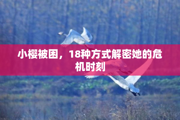 小樱被困，18种方式解密她的危机时刻