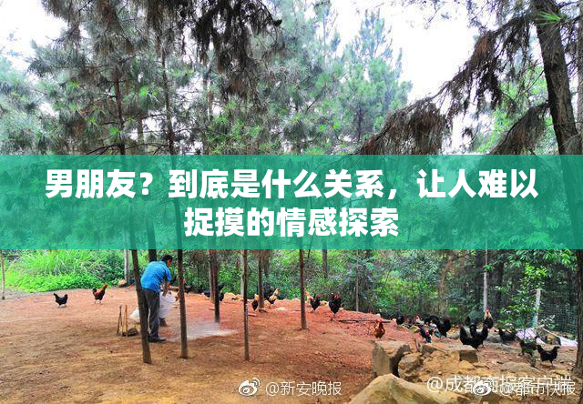 男朋友？到底是什么关系，让人难以捉摸的情感探索