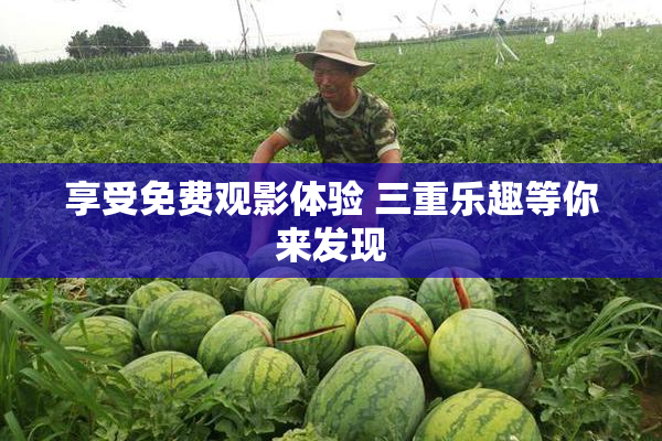 享受免费观影体验 三重乐趣等你来发现