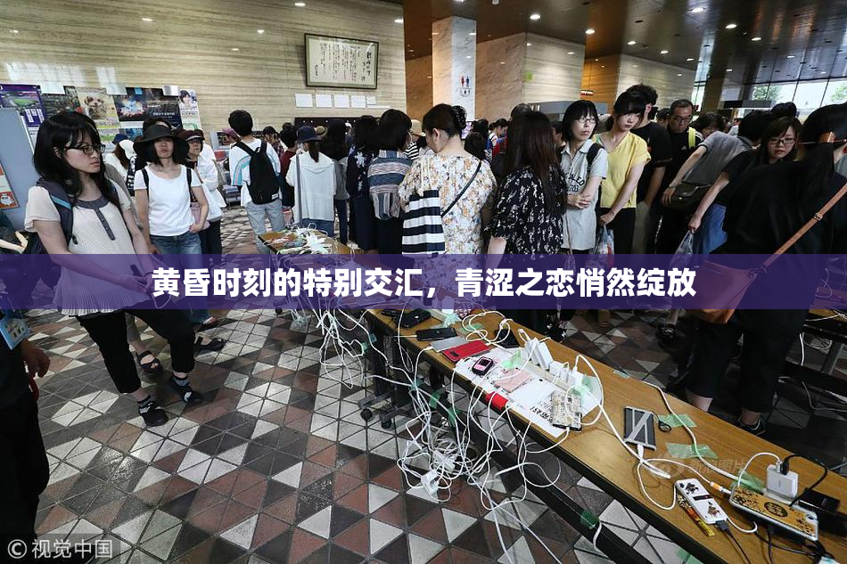 黄昏时刻的特别交汇，青涩之恋悄然绽放