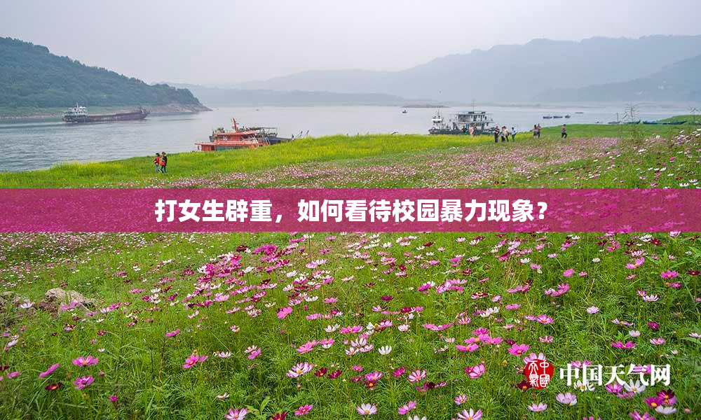 打女生辟重，如何看待校园暴力现象？