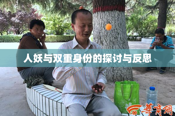 人妖与双重身份的探讨与反思