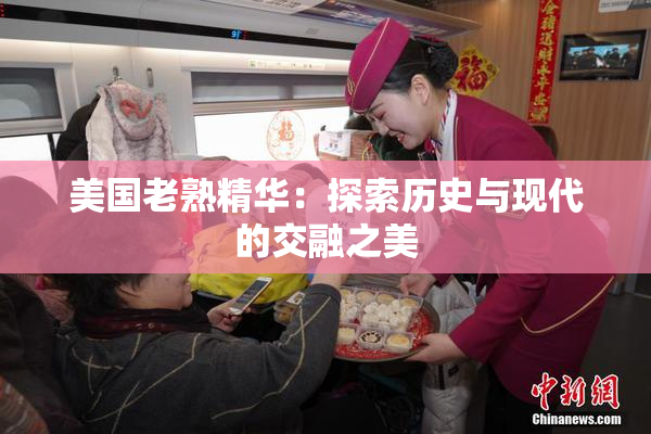 美国老熟精华：探索历史与现代的交融之美
