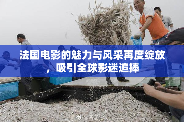 法国电影的魅力与风采再度绽放，吸引全球影迷追捧