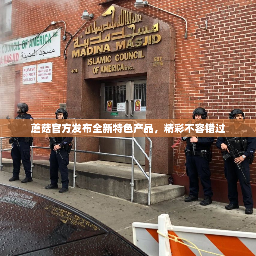 蘑菇官方发布全新特色产品，精彩不容错过
