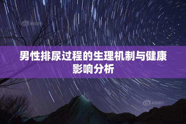 男性排尿过程的生理机制与健康影响分析