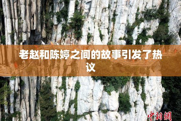 老赵和陈婷之间的故事引发了热议