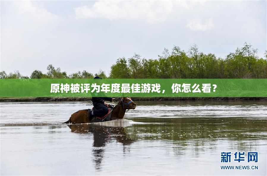 原神被评为年度最佳游戏，你怎么看？