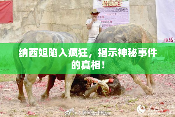纳西妲陷入疯狂，揭示神秘事件的真相！