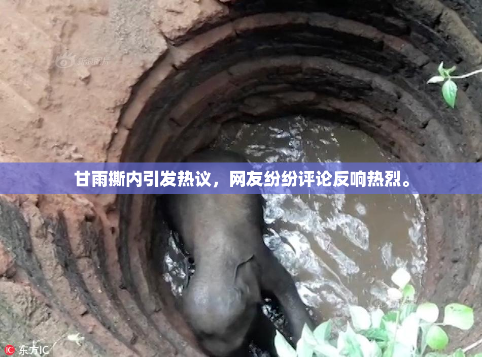 甘雨撕内引发热议，网友纷纷评论反响热烈。
