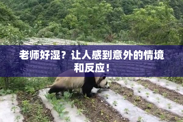 老师好湿？让人感到意外的情境和反应！