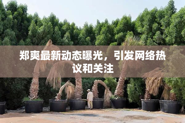 郑爽最新动态曝光，引发网络热议和关注