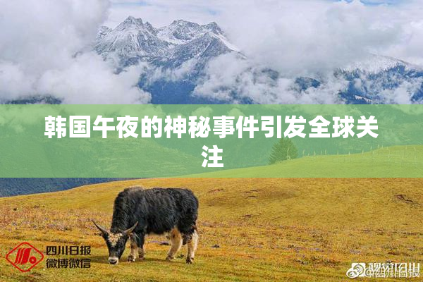 韩国午夜的神秘事件引发全球关注