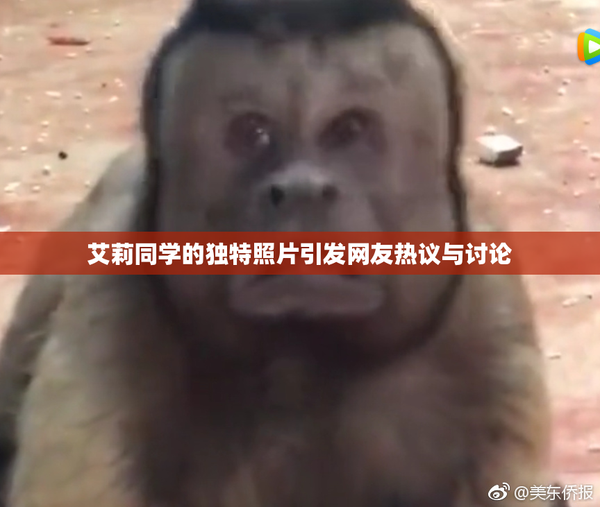 艾莉同学的独特照片引发网友热议与讨论